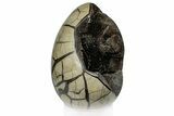 Septarian Dragon Egg Geode - Black Crystals #302862-2